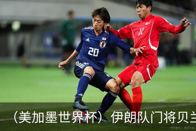 （美加墨世界杯）伊朗队门将贝兰万德的“满分”